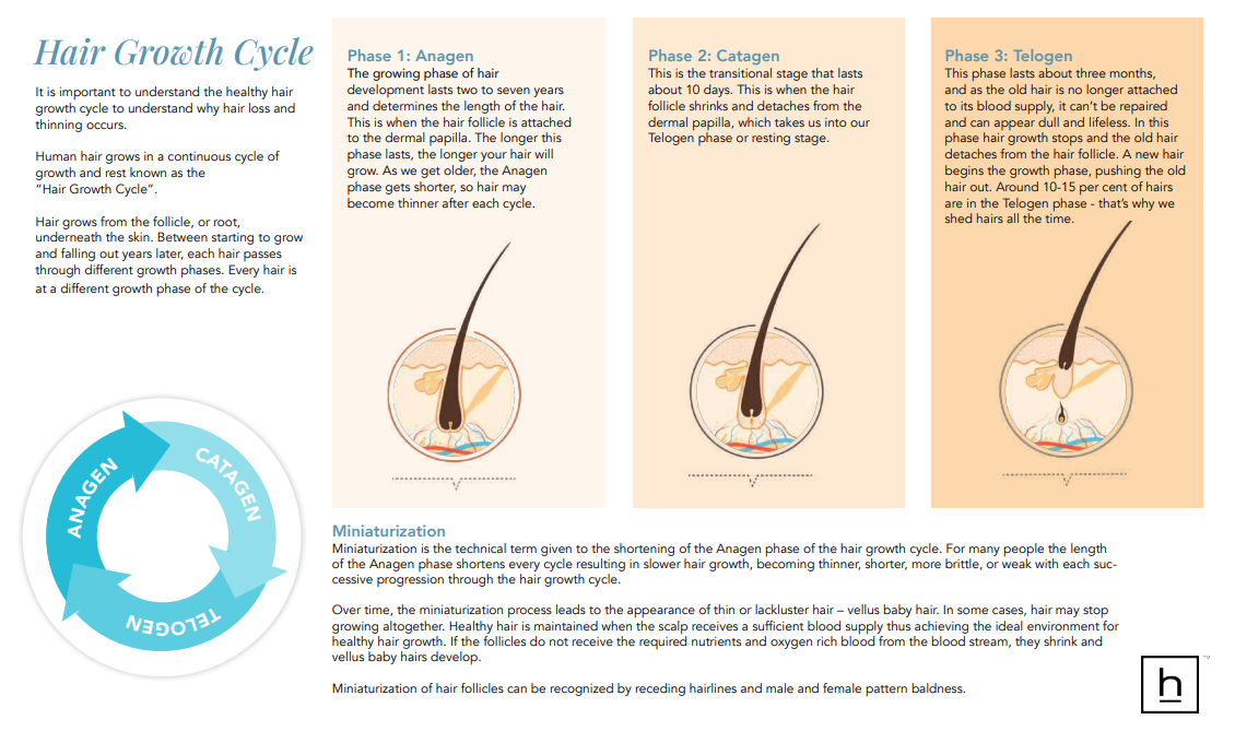 HairMax - Hair Growth & Wellness Guide (Digital Download)